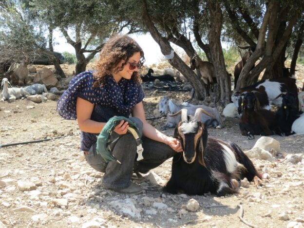 Ella petting a goat