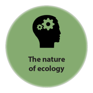 The nature of ecology