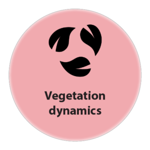 Vegetation dynamics
