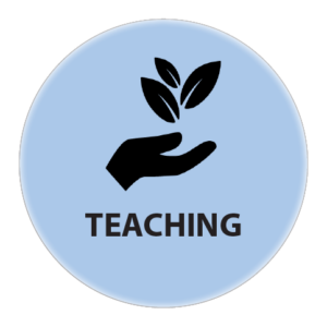 Y-teaching